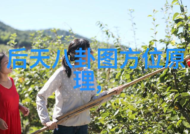 后天八卦五行奇缘揭秘咖啡店里那些隐形的风水