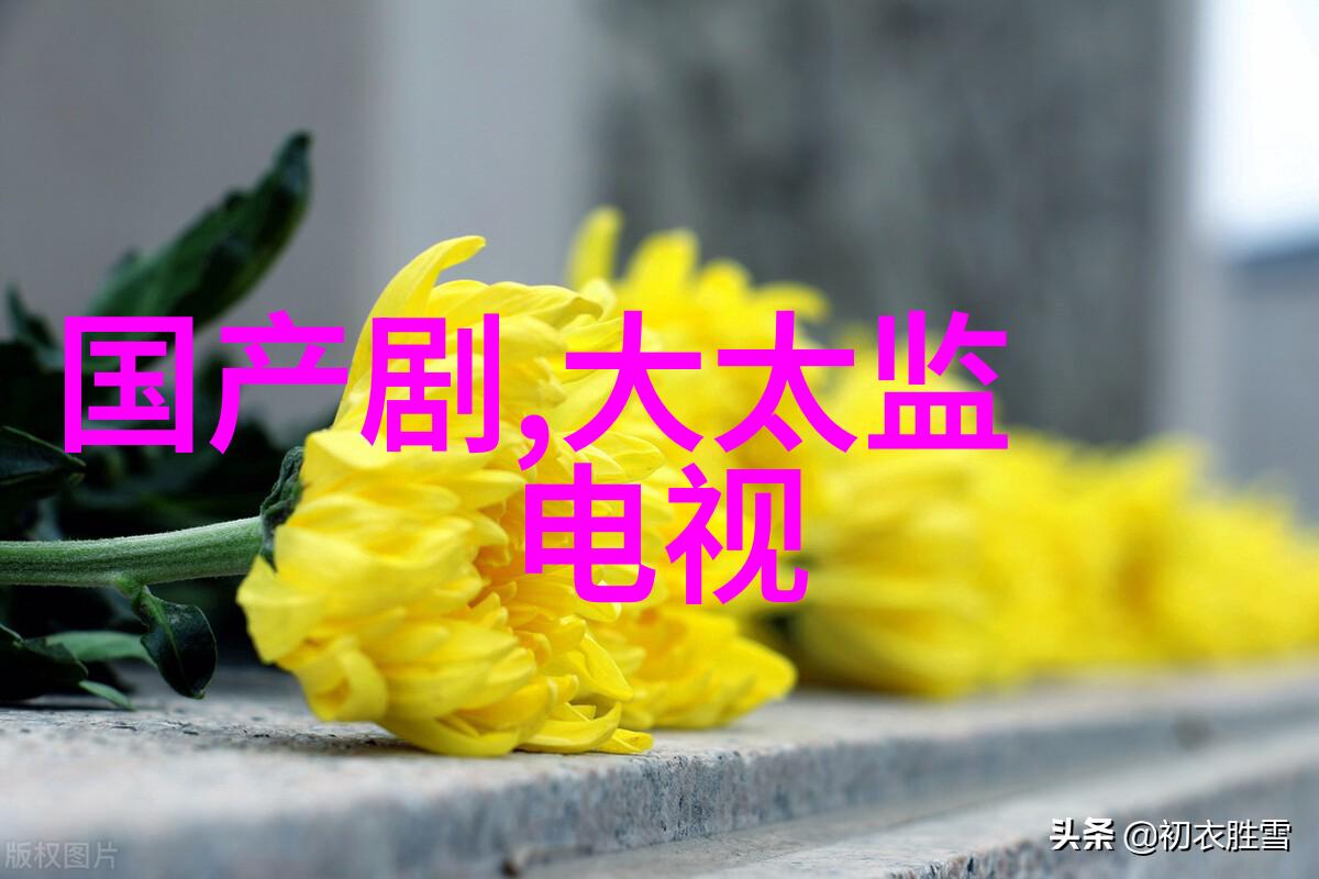 剖析写真之美从真实到艺术的摄影探索