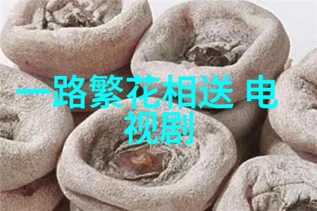 时尚界的璀璨星辰116位美丽摄影师的精彩作品