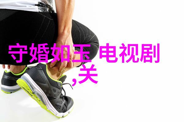 图像识别新纪元一款革命性的扫描应用