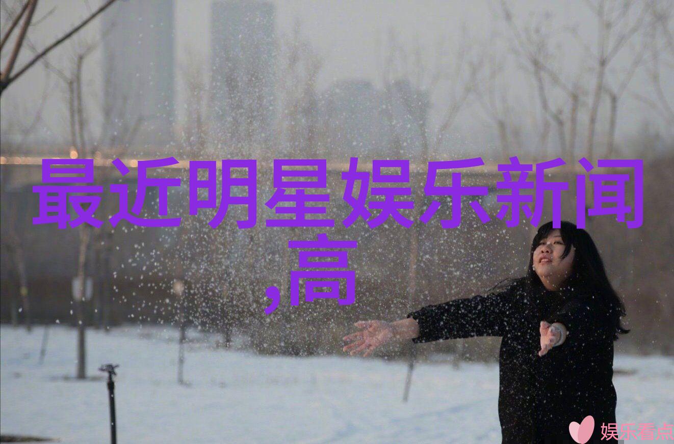 在大陆合法吗-探索边界法律与社会的交汇点