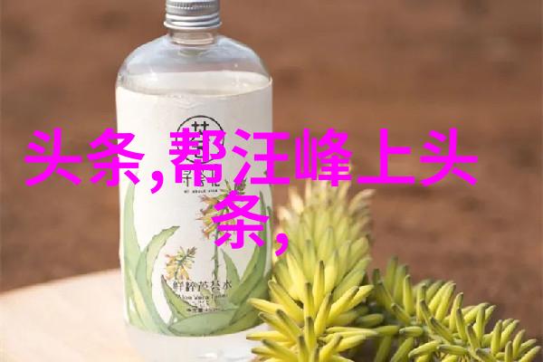 粤光影绘从珠江水波到红毯闪耀