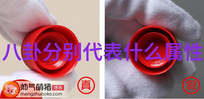 摄影-写真捕捉瞬间的真实
