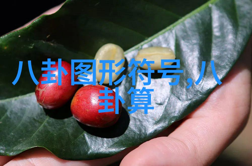 不再等待随时随地阅读今日头条极速版下载教程