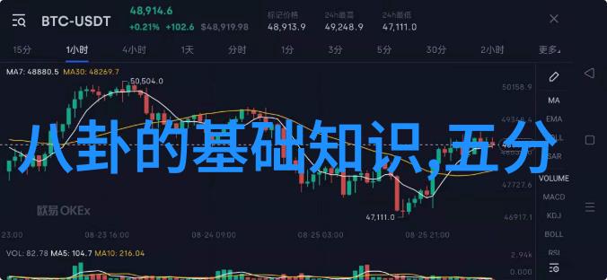 武林高手岳父的传承