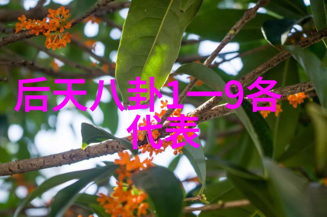 乾坤八卦图直树红包加量贺林依晨订婚与大仁哥竞争激烈