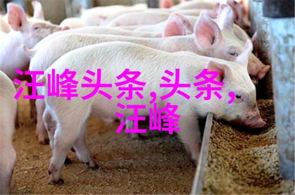 传媒天美果冻AAAAA探索数字时代的视觉盛宴与文化融合