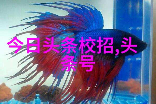 数据驱动的青娱乐极品视觉盛宴chifurechifure品牌深度解析