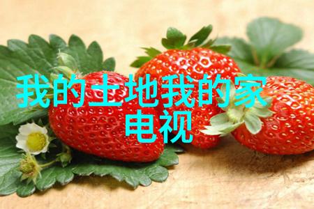 微信头条薛之谦聊天记录真相李雨桐是如何否认恋爱出轨的