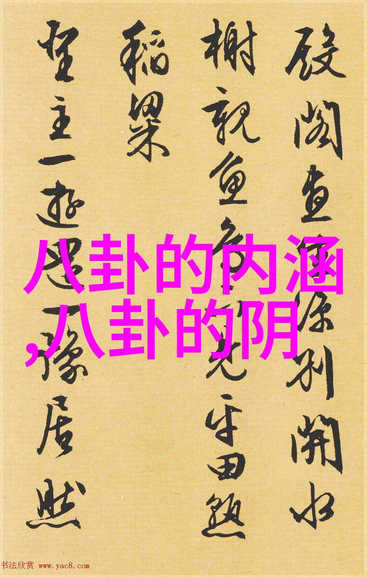 在教育改革中预计哪些方面将是台北政府下一步重点关注的内容