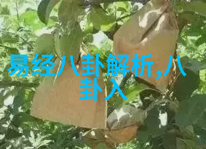 星辰之舞梦想与光影的交响