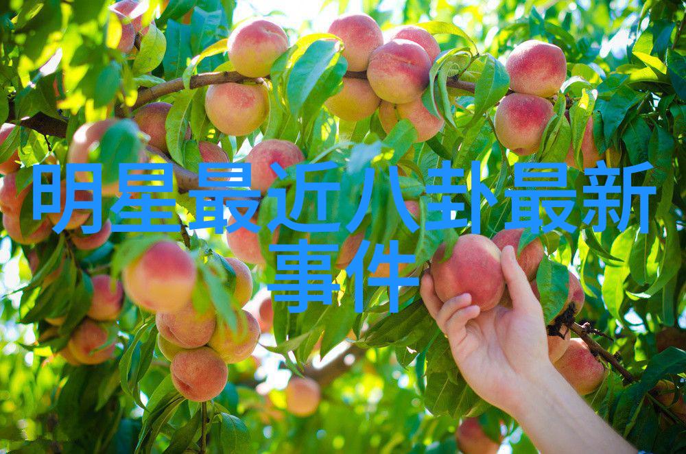 深夜的频道念念无明