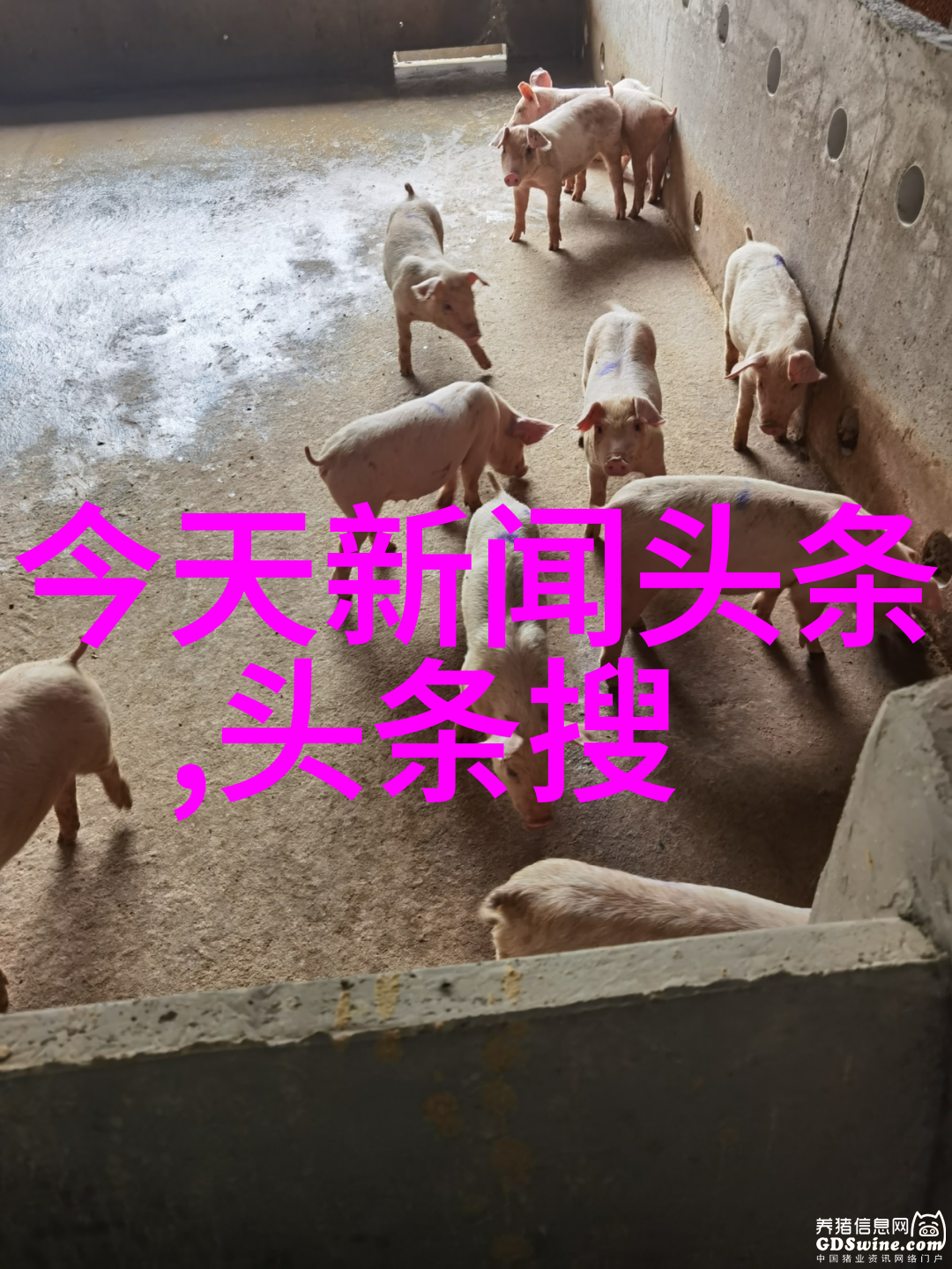 麦迪娜海陆拥抱和解婆婆和妈妈还珠剧组暖心重聚月光影视大全高清版