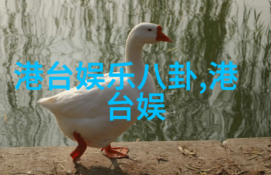 五行之谜八卦背后的音乐密码