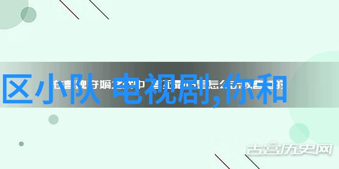 对对于无法打开或无法运行最新版本的手机应用我们该如何操作才能享受同等优质体验