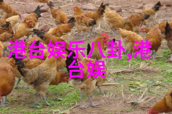最强大脑LEVEL-K冲击综艺大观王珞丹易小星化身竞拍官