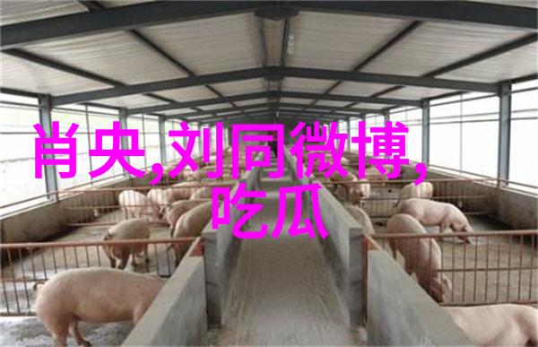 百度扫一扫识别图片它的准确率有多高