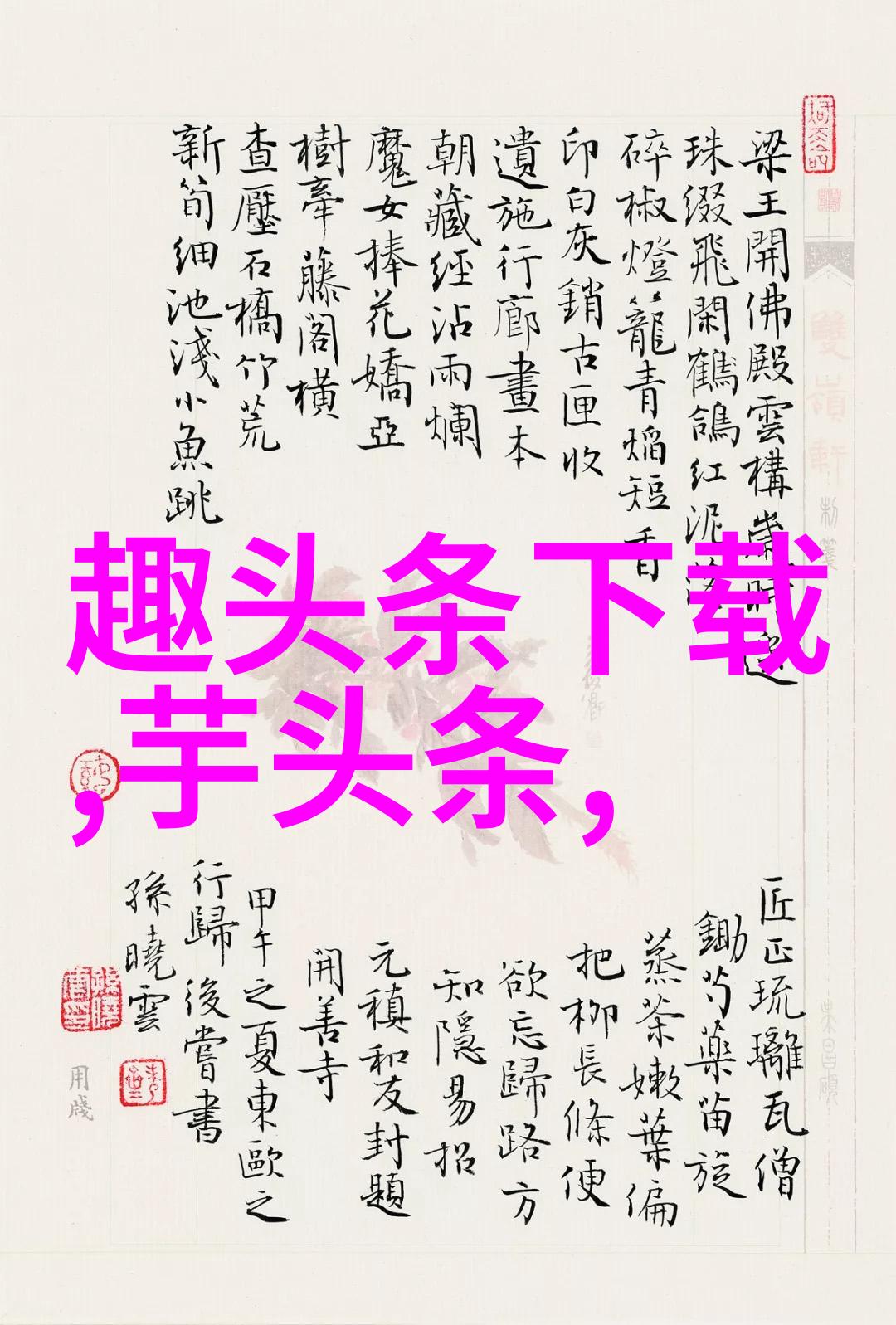 家务高手综艺中的优等生