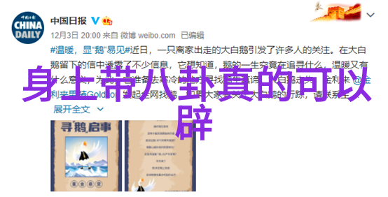 娱乐圈焦点我们离婚背后的隐秘期待与公众眼中的镜头舞台