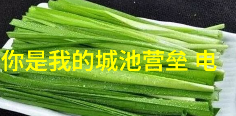 一碗汤一口酸菜酱油云 木 吃 瓜背后的文化内涵