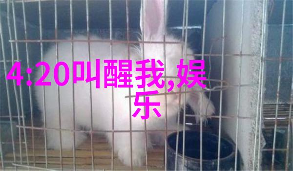 坐公交车居然弄了2小时视频-乘风破浪一位乘客的长篇纪实录制