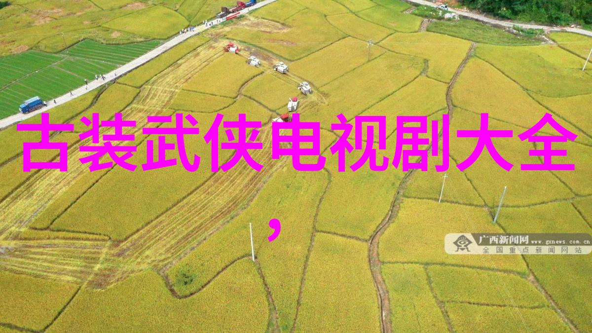 娱乐场所管理办法-夜晚的守护者深度剖析娱乐场所管理新规定