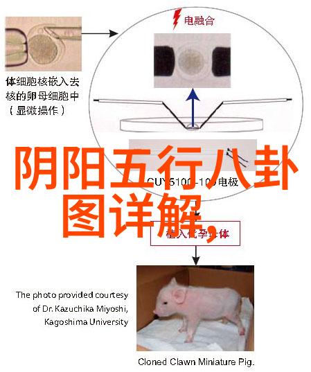 我和善良的小姨子电影小姨子的温暖一个夏天的故事