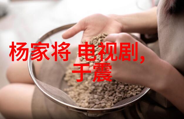 成人电影幕后揭秘与行业变迁