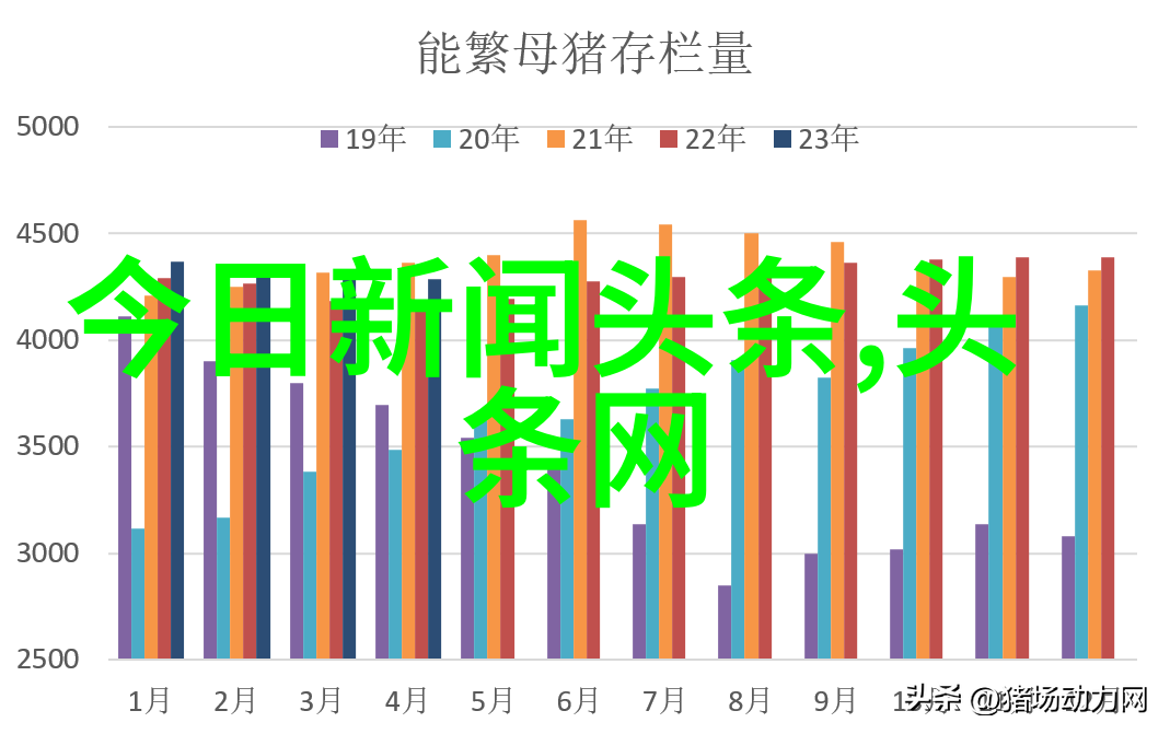 东方时尚驾校官网-掌握时尚驾技东方时尚驾校助您开启美好旅程