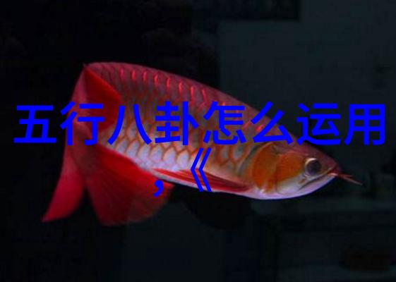 当我们遇见你新综艺即将播出社会各界期待一部好看的节目
