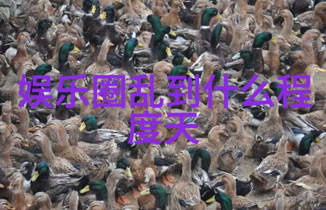 时尚买手吉克隽逸仿佛时装界的巅峰之星在Millies 2013春夏时尚大舞台上璀璨发光