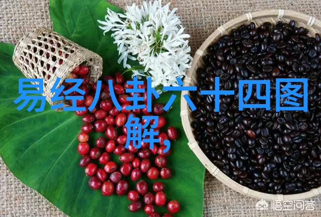台湾娱乐的黎明1971年的音乐与梦想