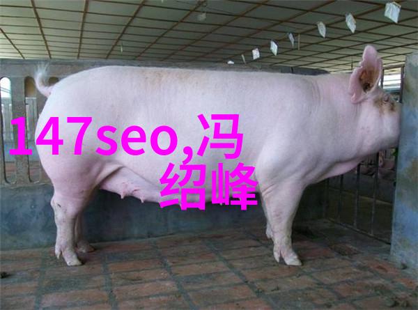 银幕下的孤城电影中的反差情感探索