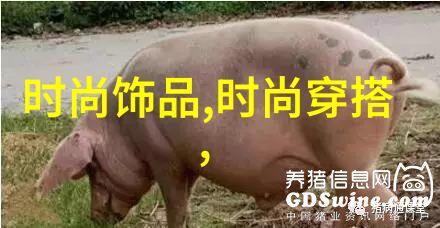 揭秘天地安排易经解读生辰八字的智慧与奥义