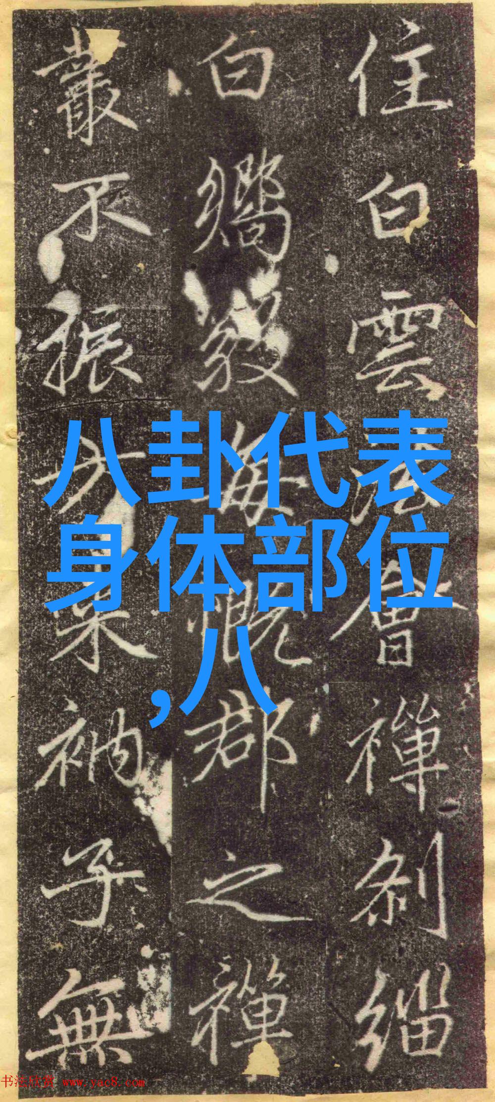 今夜盛放超级明星音乐会