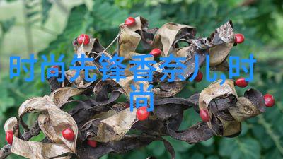 免费图片大全快来我这儿挑一批