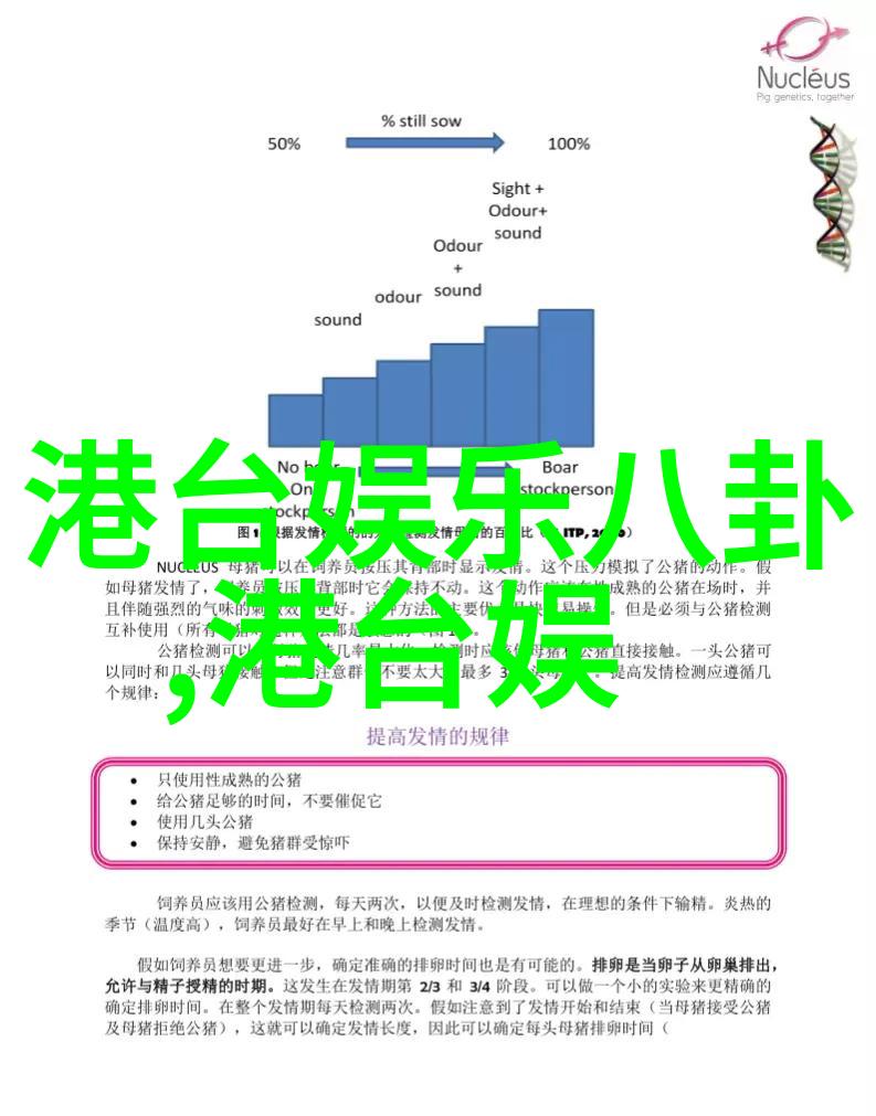 今日头条下载-快速获取最新资讯的智能方式