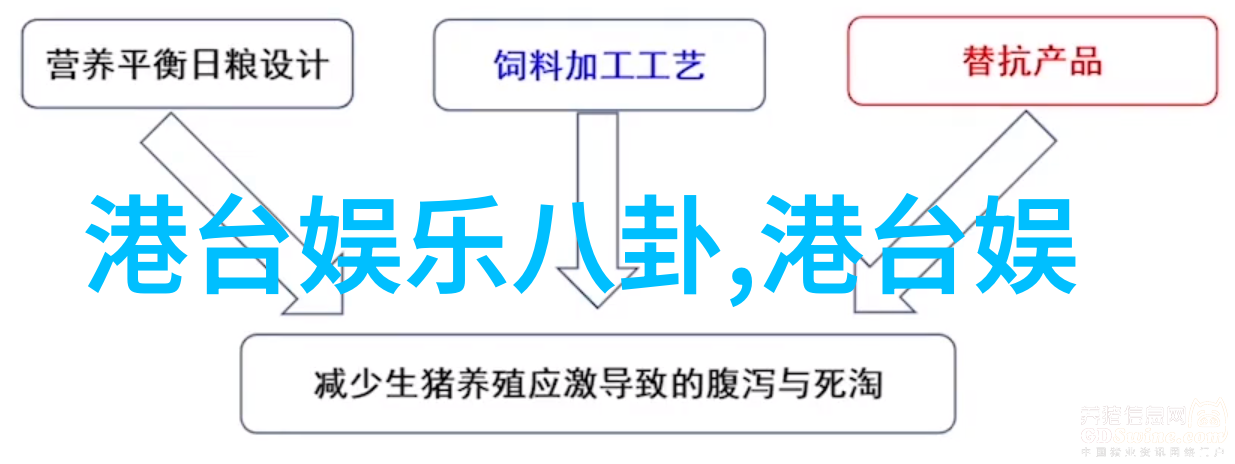 爱情岛青春综艺的浪花