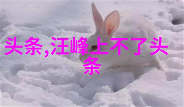 下载雪梨直播app-一键掌握全球热点如何轻松下载雪梨直播app