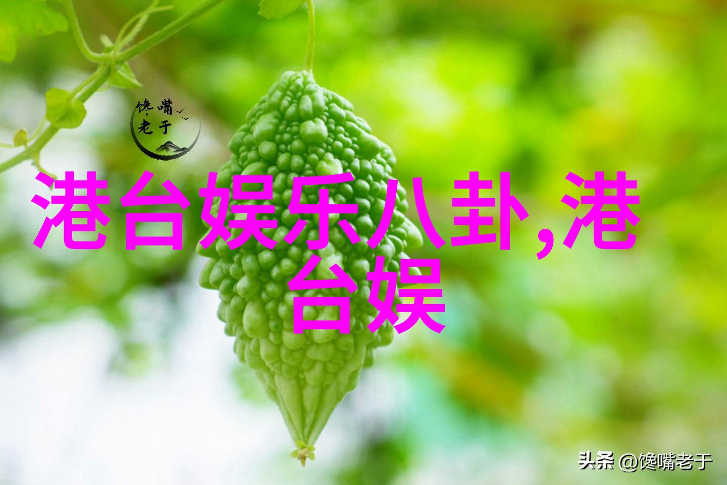 欧美写真我是怎么在欧洲拍到那些超美的写真的