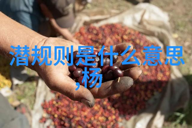 易经的八卦卦象解读天地万物的编织密码