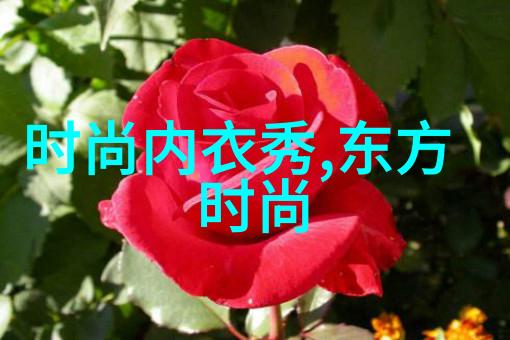 谁是那位神秘的头像情侣背后隐藏着怎样的故事