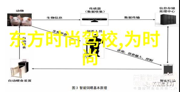 李玉刚老婆和女儿照片的反复回响韩国娱乐新闻中的妻子写真