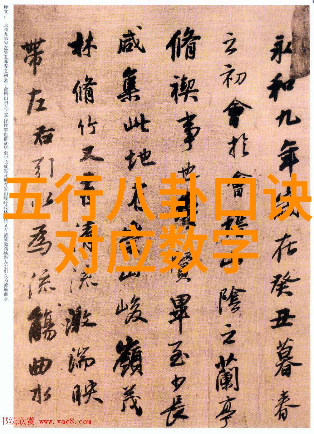 在社会规范与个人表达之间摇摆情慾摄影师的心路历程