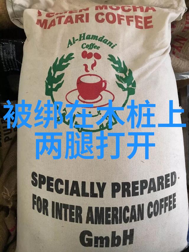 动画片制作技艺之精髓从手绘到数字艺术家们在创新上的尝试是什么样的呢