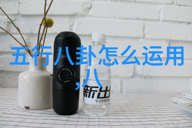 析探我的蠢萌老公电视剧中的家庭角色动态与社会价值观