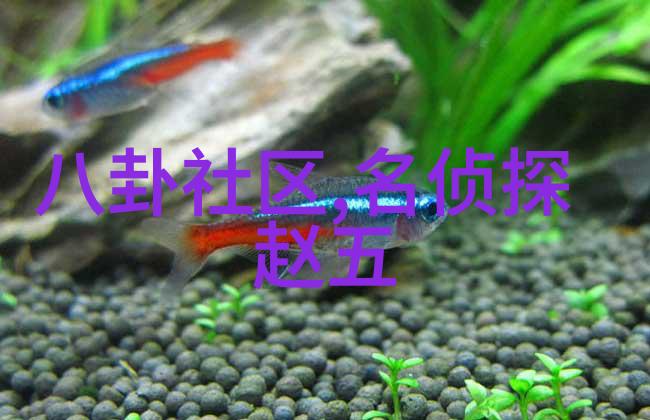 主题我眼中的图片大全好看一份视觉盛宴