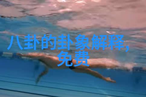 娱乐圈-笑声满堂综艺节目背后的创意与魅力