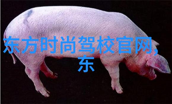 韩国电影片-激情与梦想韩国电影的艺术探索