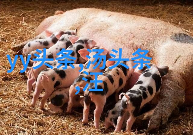 Baby回应演技质疑我也在努力自然成长中台湾之行已被迫中断